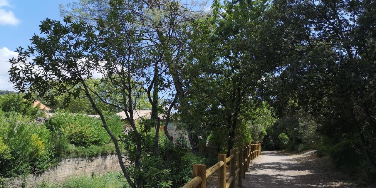 Le Mimosa Bed & Breakfast Saint-Saturnin-de-Lucian Ngoại thất bức ảnh